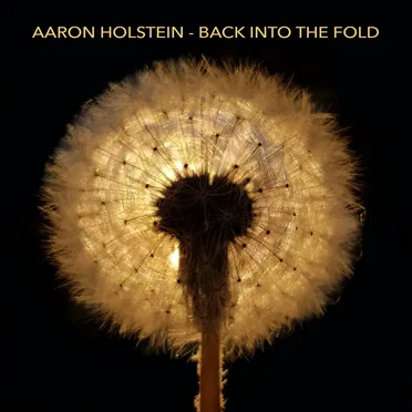 Back Into the Fold by Aaron Holstein - album cover