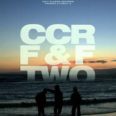 Friends & Family 2 by Various Artists - album cover