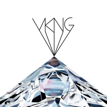 VKNG by VKNG - album cover