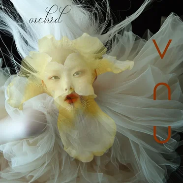 orchid by ⋁ ⋂ ⋃ - album cover