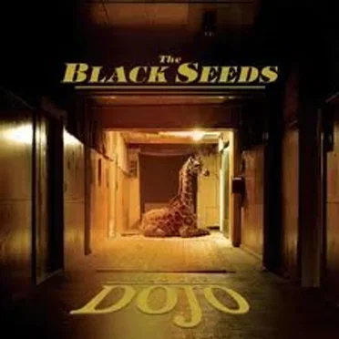Into the Dojo by The Black Seeds - album cover