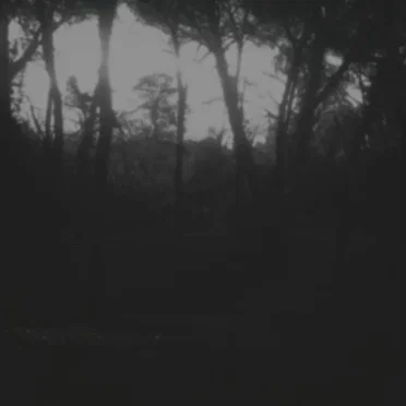 Le silence éternel