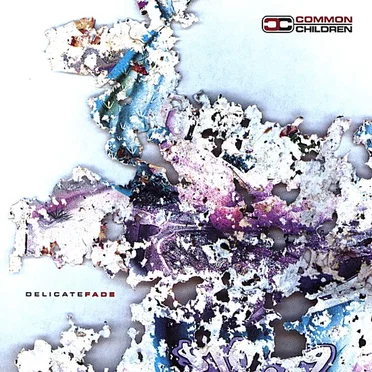 Delicate Fade by Common Children - album cover