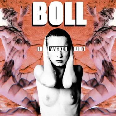 En vacker idiot by Boll - album cover
