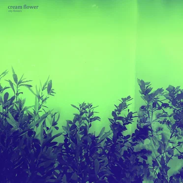 City Flowers by Cream Flower - album cover