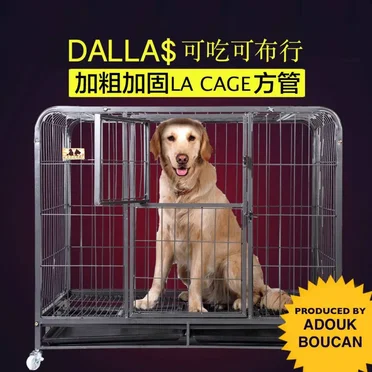 La Cage by DALLA$ - album cover