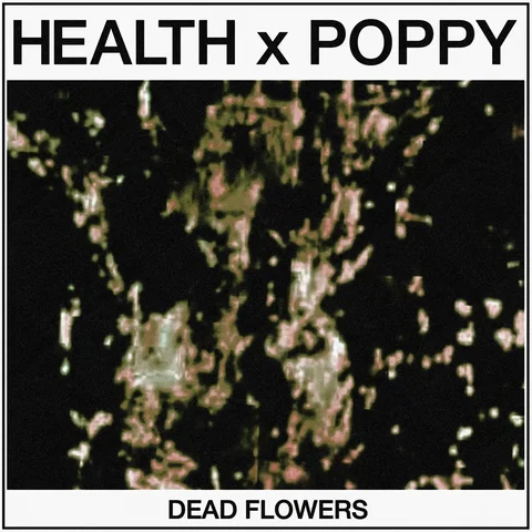 Poppy