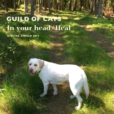 In Your Head by Guild Of Cats - album cover