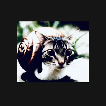 Goobers at Work by Snail Cat Exhibit - album cover