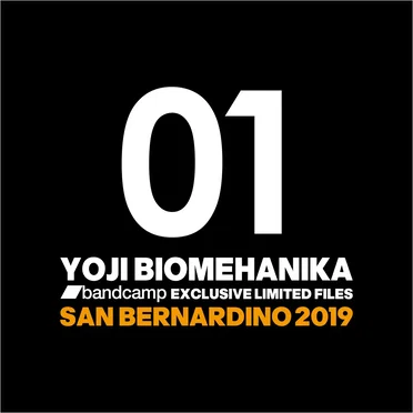 SAN BERNARDINO 2019