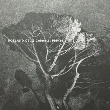 Celestial Planes by Roeland Celis - album cover