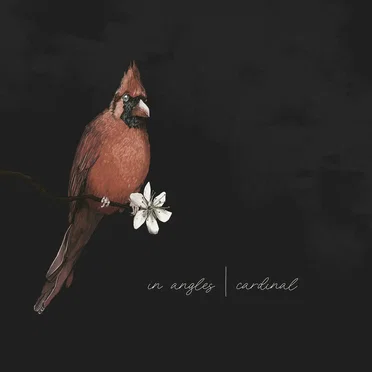 Cardinal by In Angles - album cover