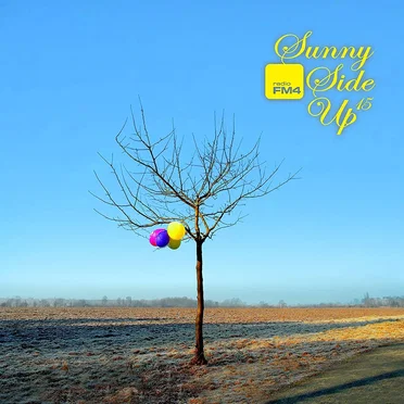 Sunny Side Up, 15 by Various Artists - album cover
