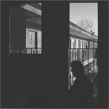 Into the Light