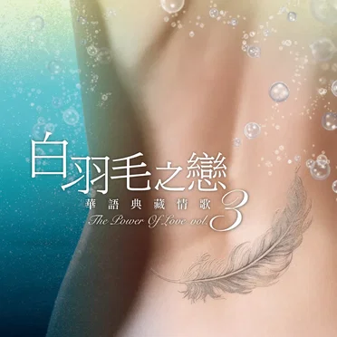 白羽毛之戀 華語典藏情歌 Vol. 3 by Various Artists - album cover