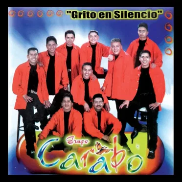 Grito En Silencio