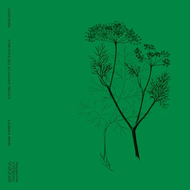Nature Sounds of the Balearics