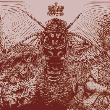 Home by The Heavy Eyes - album cover