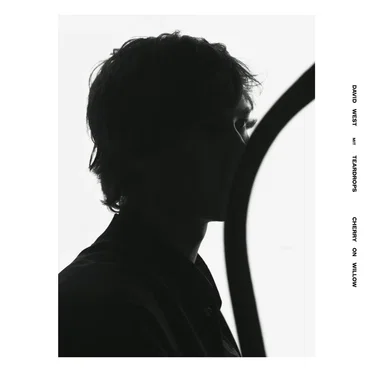 Cherry on Willow by David West - album cover