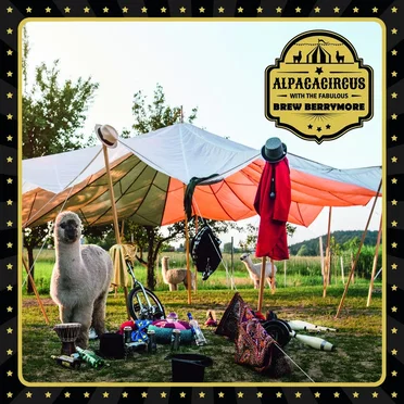 Alpacacircus