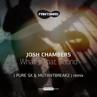 What's That Sound by Josh Chambers - album cover