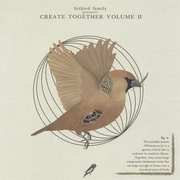 create together, vol.2 by Various Artists - album cover