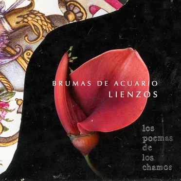 Lienzos