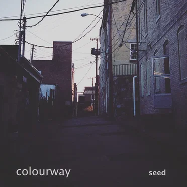 seed by colourway - album cover