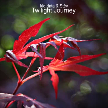 Twilight Journey