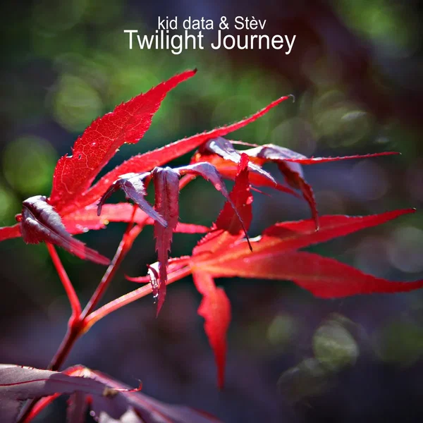 Twilight Journey