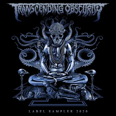 Transcending Obscurity: Label Sampler 2020 by Various Artists - album cover