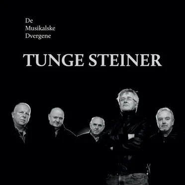 Tunge steiner