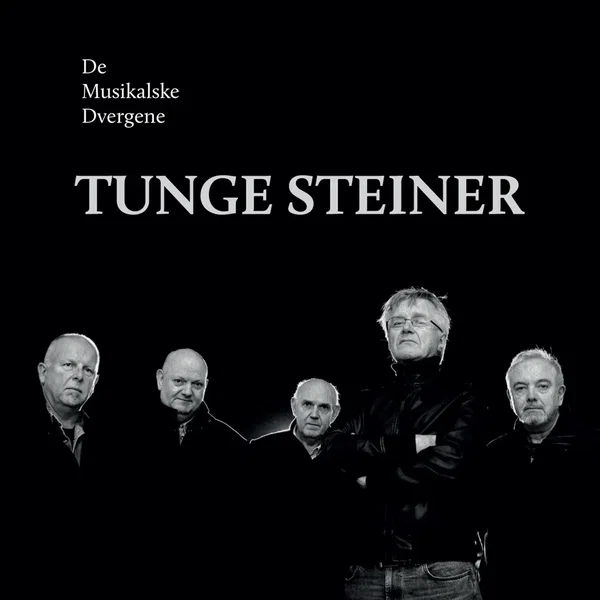Tunge steiner