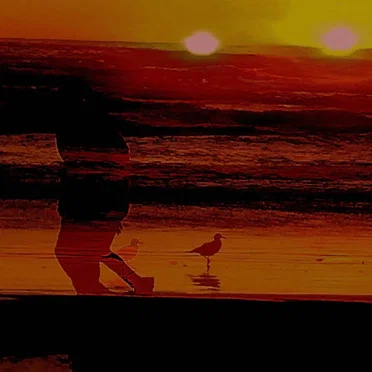 dark rain sunset by Fun With Teeth - album cover