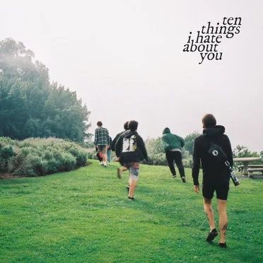 three things i hate about you by ten things i hate about you - album cover