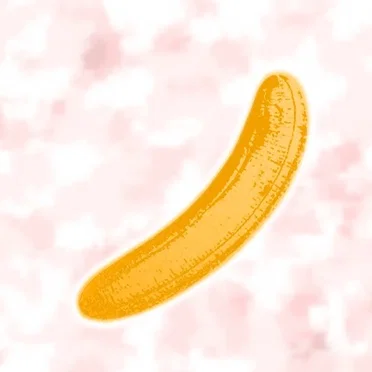 Tributo a Velvet Underground by Various Artists - album cover