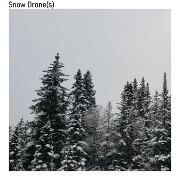 Snow Drone(s)
