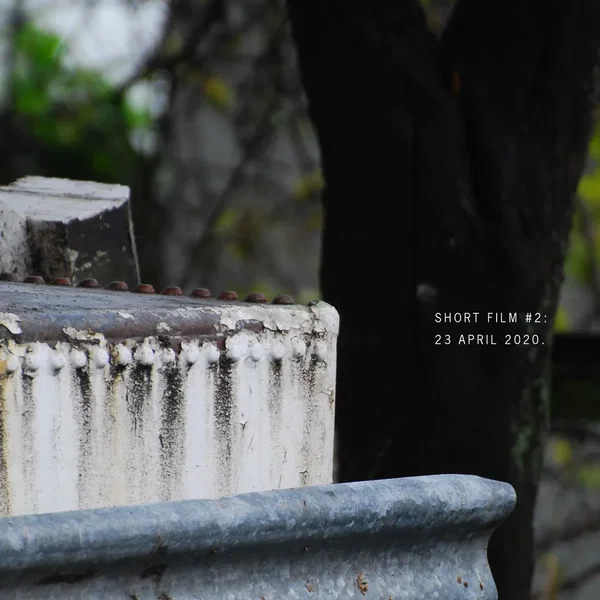 Short Film #2: 23 April 2020