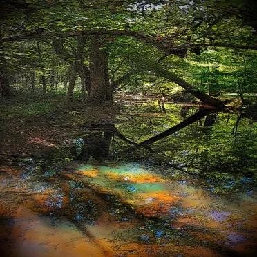 Music for Long Attention Spans, Vol. 25