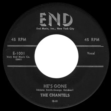 He’s Gone / The Plea