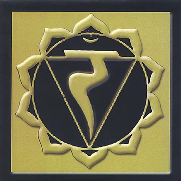 Solar Plexus by Anatomy - album cover