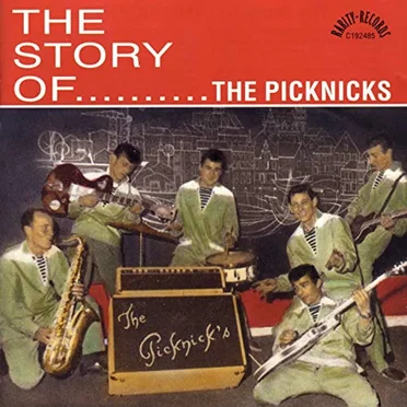 The Story Of... by The Picknicks - album cover