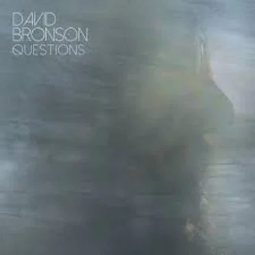 Questions by David Bronson - album cover