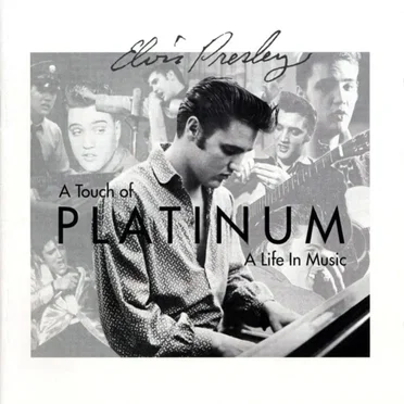 A Touch of Platinum: A Life in Music