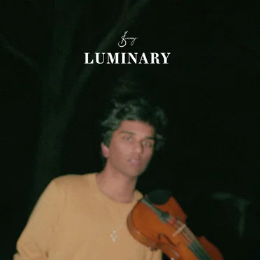 Luminary by Joel Sunny - album cover