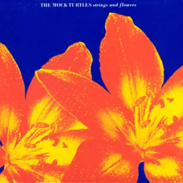 Strings And Flowers
