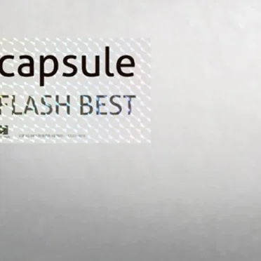 FLASH BEST