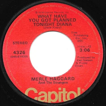 What Have You Got Planned Tonight Diana