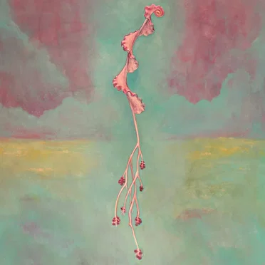 Unreal by James Irwin - album cover