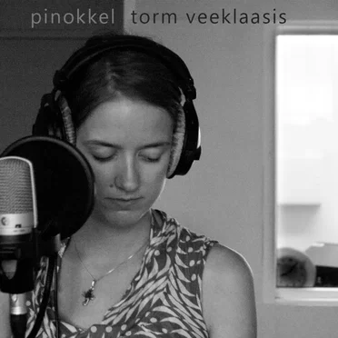Torm veeklaasis by Pinokkel - album cover